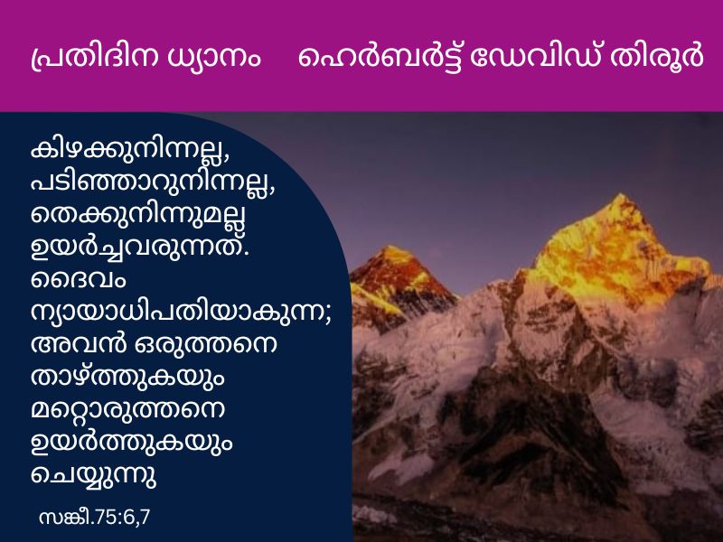 feature-top