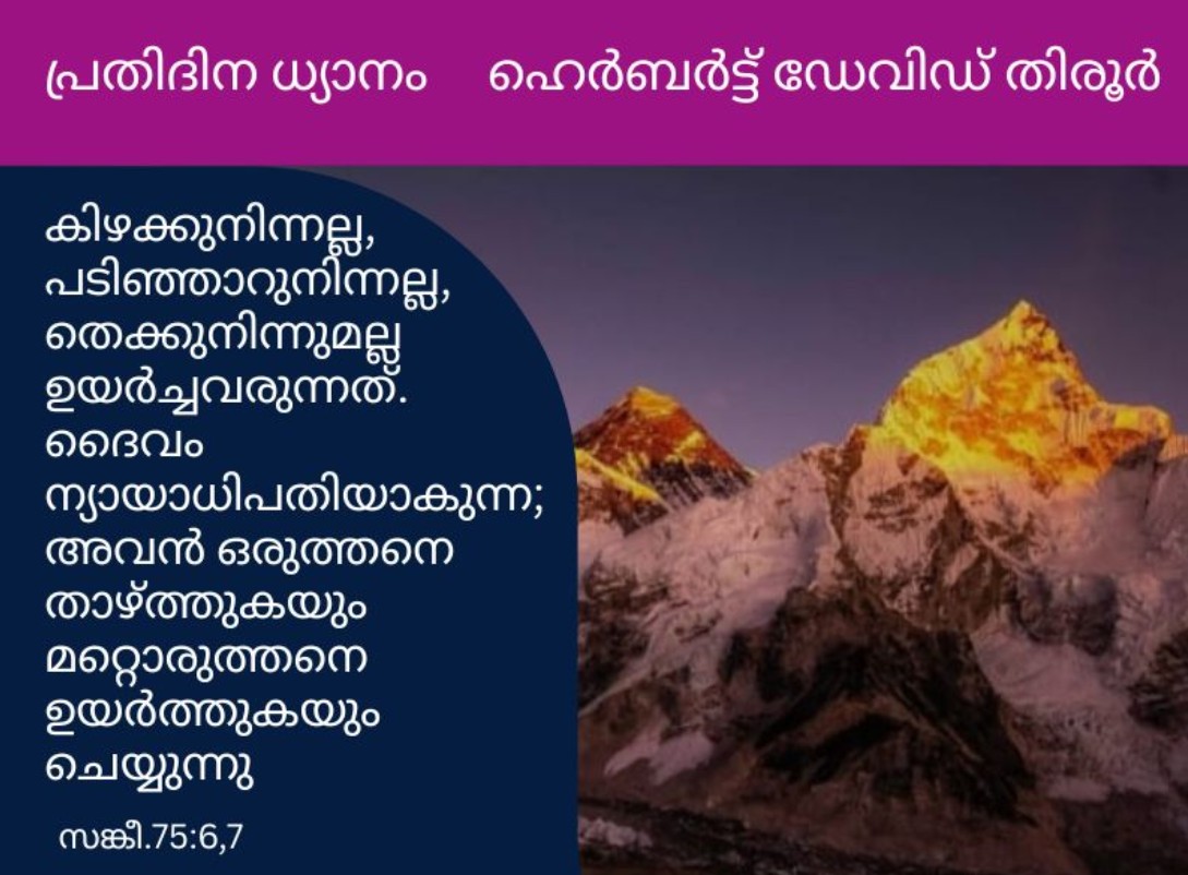 feature-top